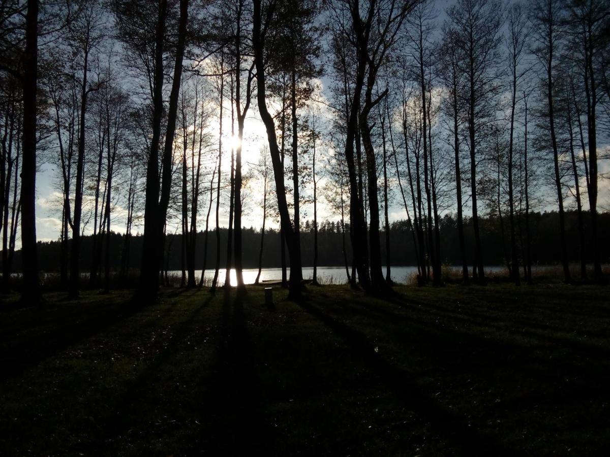 Domki Wczasowe Mazury - Ferienhaus Masuren - Do 12 Osob - Idealny Dla Grup Dluzek 외부 사진